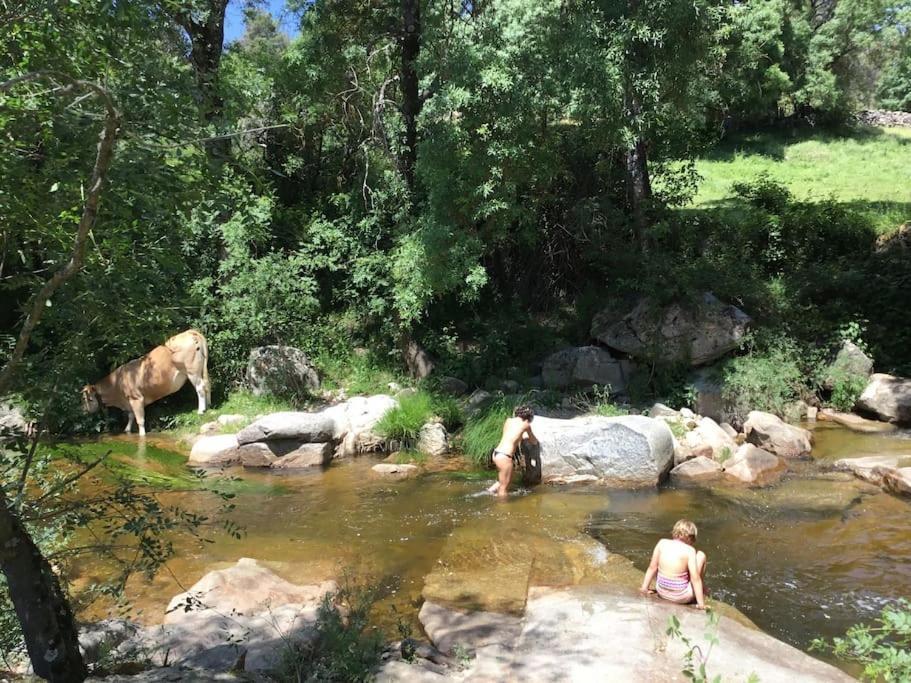 La Casita Del Rio. * Navalespino