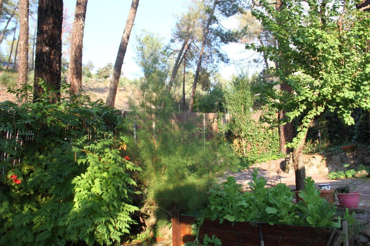 La Casita Del Rio. Hébergement de vacances *